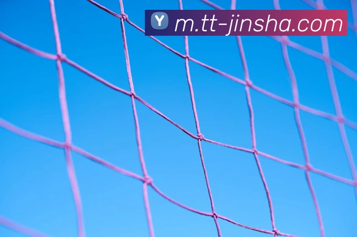 金沙娱乐APP 封面图